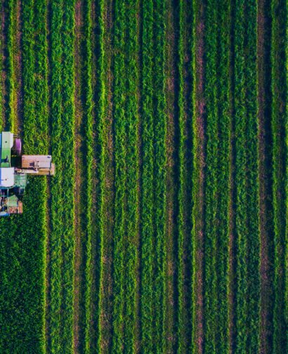 International trading and management.